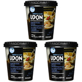 Allgroo Udon Cup Instant Nudles - Smakrik kryddig skaldjur Udon Soppa - Snabb förberedelse (1 x 173g)