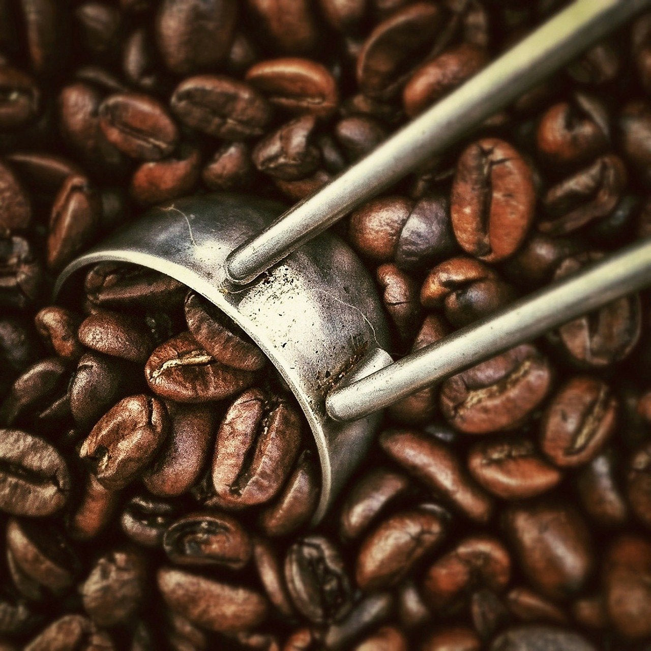 Kaffe med aromatiska hasselnötter, 3 hela bönor à 1000 g
