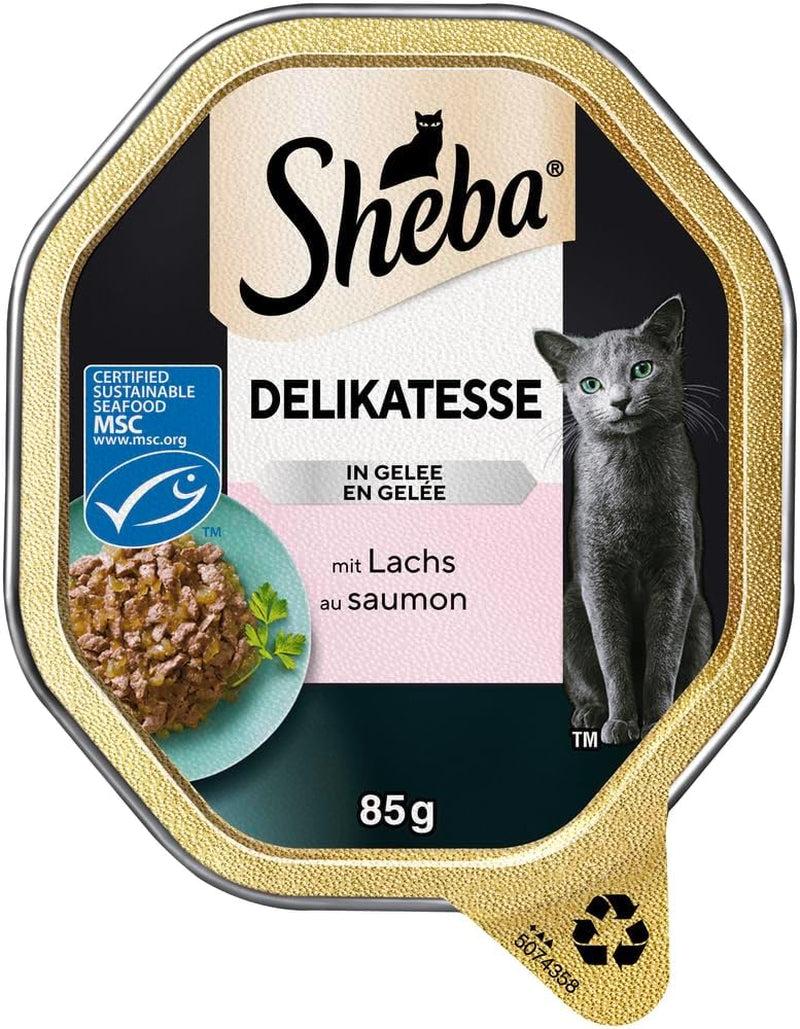 Sheba Wet Cat Food, delikatess i laxgelé, 2 x 11 x 85g