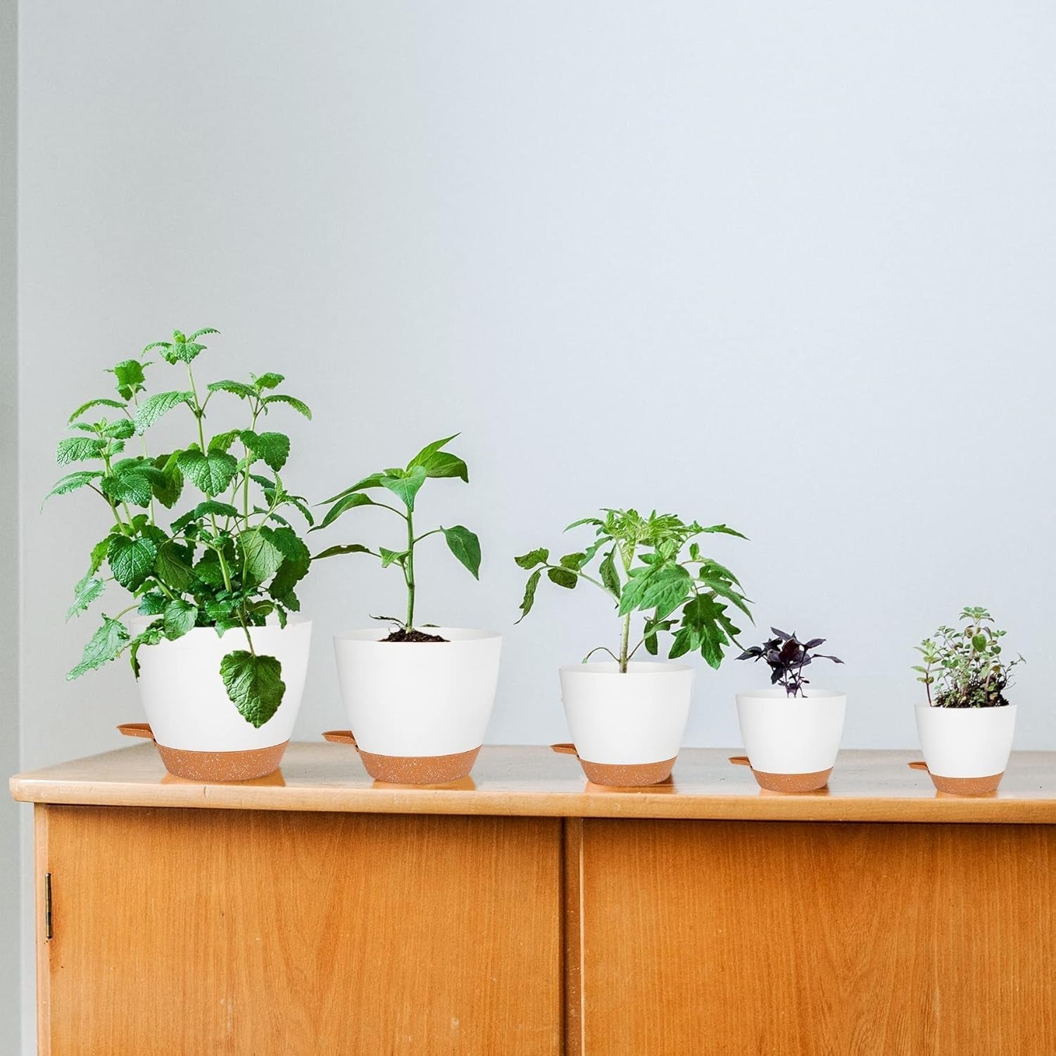 CSYY blomkrukor Set med 7 plastblomkrukor med bevattningssystem 20.3/19/17.7/16.5/15.2/14/12.7cm självvattnande krukor och fat inomhus utomhus