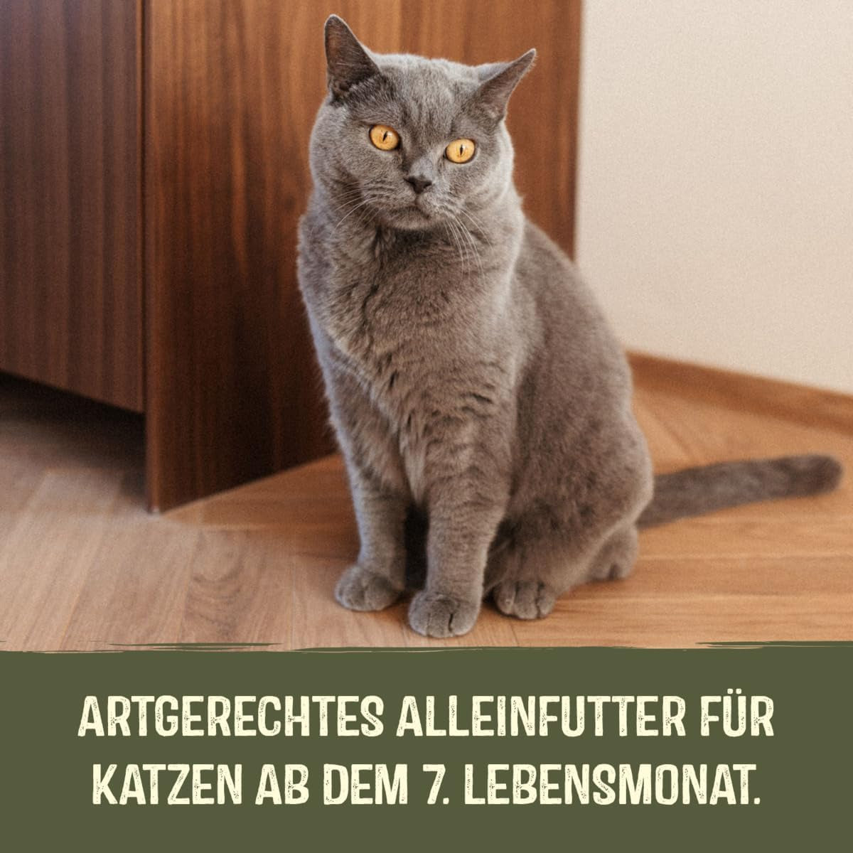 GimCat Near Nature Trial Mix 12-pack - Våtkornsfritt foder för katter från 7 månader med ett lämpligt och bytesspecifikt recept - 12 påsar (12 x 85g)