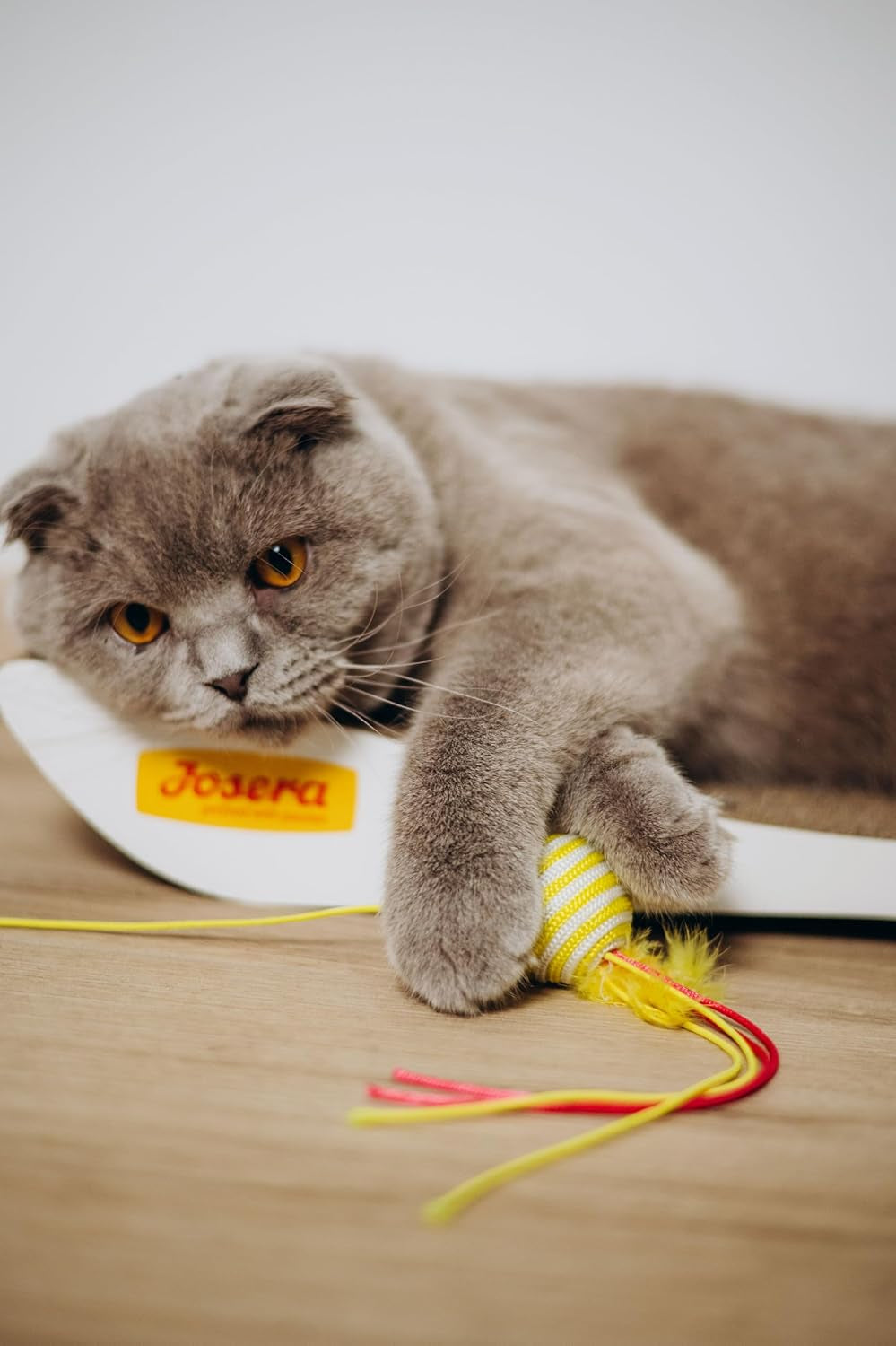 JosiCat kyckling i sås (12 x 415 g) | Vuxen | Premium våtfoder för vuxna katter | Kyckling i sås | Vitamin D3 och E | Drivs av JOSERA | Våtfoder för katter | Komplett mat | Paket om 12