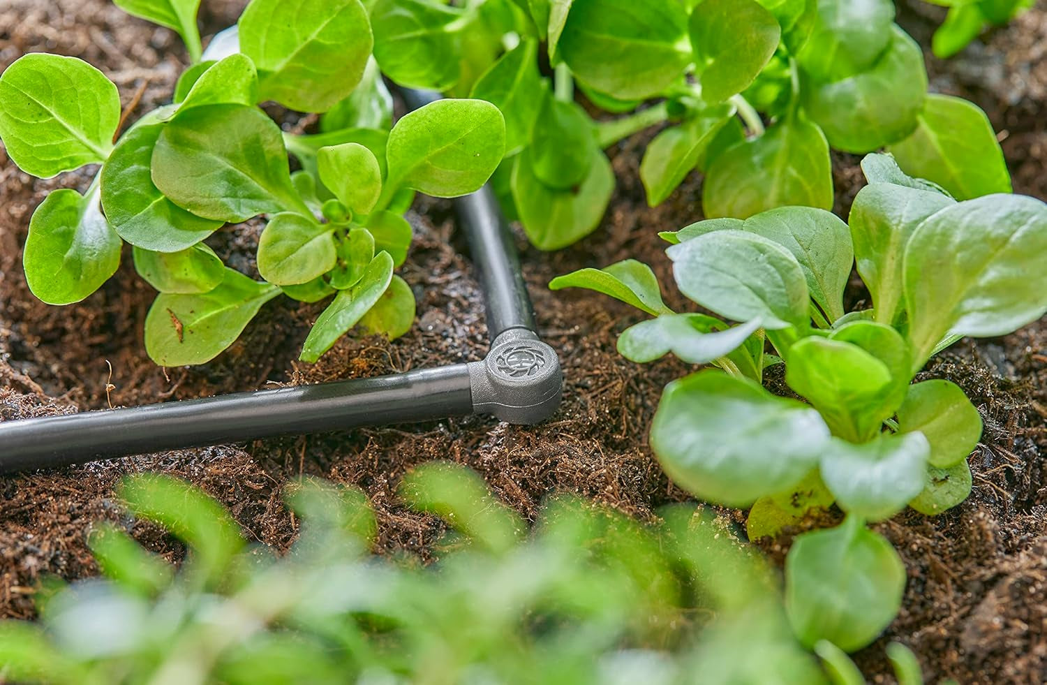 L-stycke för Gardena Micro-Drip 4,6 mm (3/16 tum): För att ändra distributionsriktning och dropplinjer med 90 grader, knäckfri installation, enkel och flexibel anslutningsteknik (13212-20)