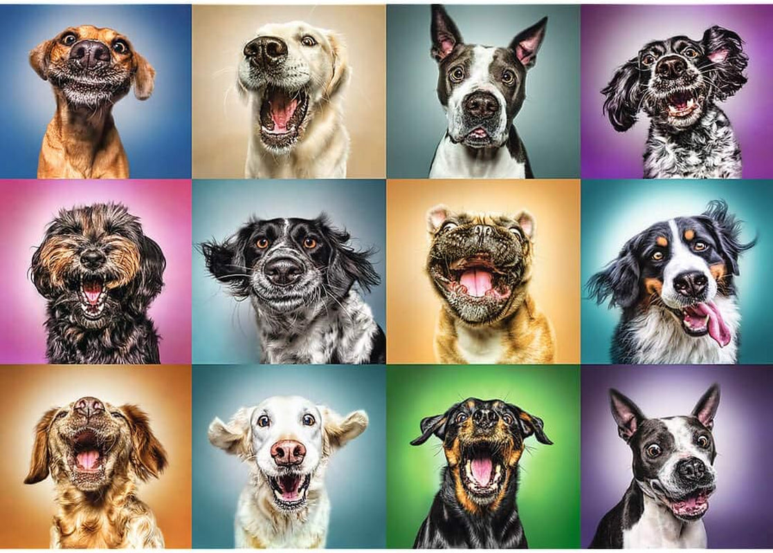 Jigsaw Puzzle - "1000" - Roliga hundporträtt Puzzle Naty Shop