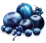 Livsmedelsfärgpulver naturlig färg Fruity Line BLUEBERRY 20G naturligt färgpulver för krämer glasyr svampdeg i pulverform matfärg för drycker gelé