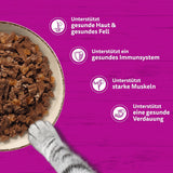WHISKAS PURE DELIGHT Våtfoder i gelé 24 x 85g Classic Ragout (4 förpackningar) 48 portionspåsar