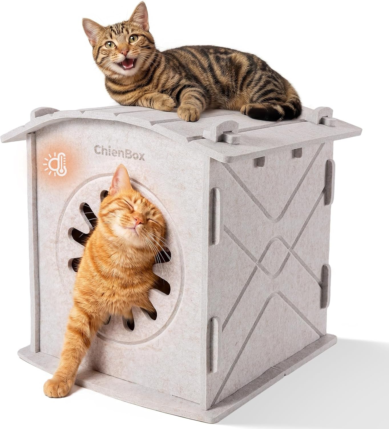 Katzenhaus Indoor från Filz: Warmes Und Gemütliches Katzenbett, Katzenhöhle mit beruhigendem Kratzbogen, Robuste & Kratzfeste Katze Höhle, Abnehmbares Katzen Bett, Katzen Haus 38 x 36 x 38cm