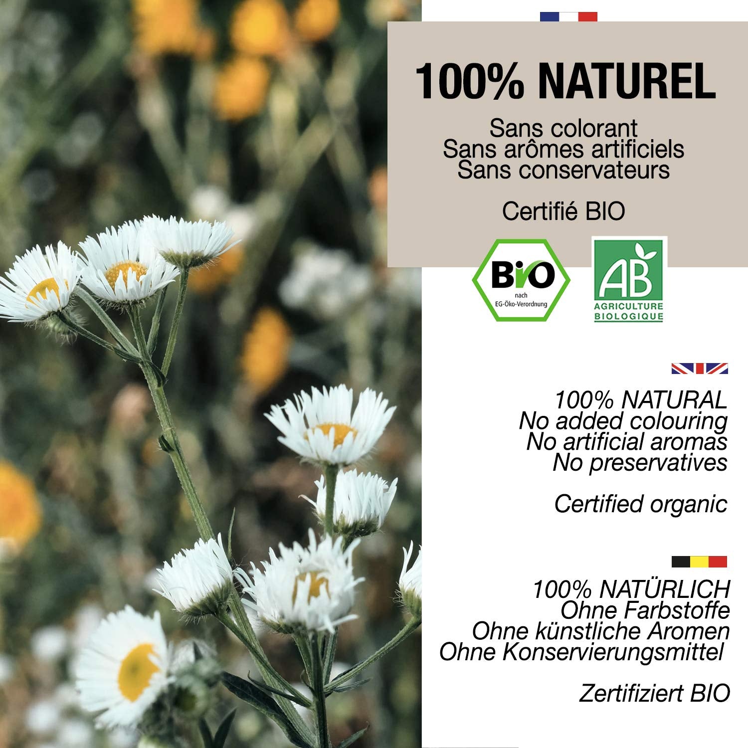 ORIGEENS Ekologiskt kamomillblommate från Europa, 100 g | Lösbladste, ekologiskt te för sömn och matsmältning | Tysk kamomill | Certifierad och förpackad i Tyskland