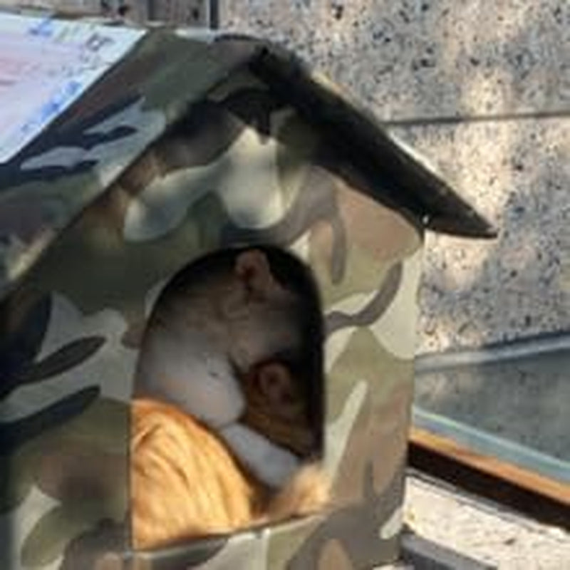 Filtar och möbler, husdjur, grottor och hus, katter, sängar för katter, katter - sängar, madrasser