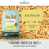 Ekologisk Penne Rigate Pasta N.91 - 500g från Khorasan Wheat - Urgammalt vete, rikt på protein, 100% odlat i Italien - Mångsidig i köket och rikt på näringsämnen