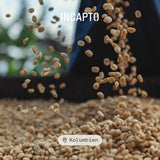 Incapto Spezialitäten-Kaffeebohnen | Colombianskt ursprung med ett ursprung | Espresso 100% Arabica | Specialty Coffee 84 Poäng SCA | Traditionell Geröstete Bohnenkaffee | Plantage Huila, Cadefihuila, 1kg