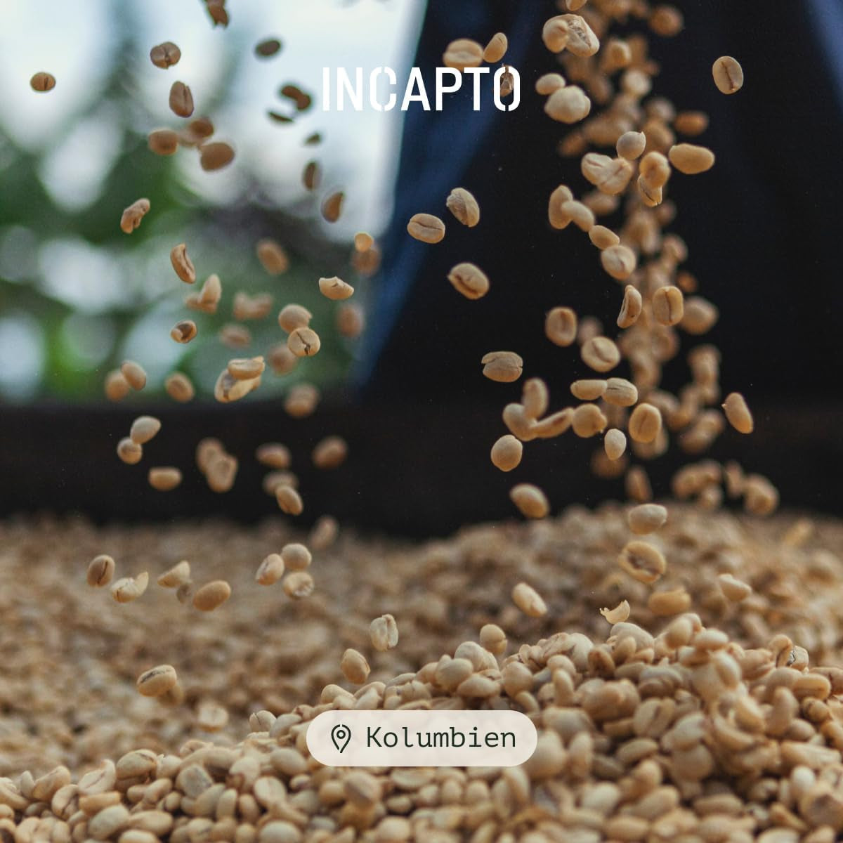 Incapto Spezialitäten-Kaffeebohnen | Colombianskt ursprung med ett ursprung | Espresso 100% Arabica | Specialty Coffee 84 Poäng SCA | Traditionell Geröstete Bohnenkaffee | Plantage Huila, Cadefihuila, 1kg