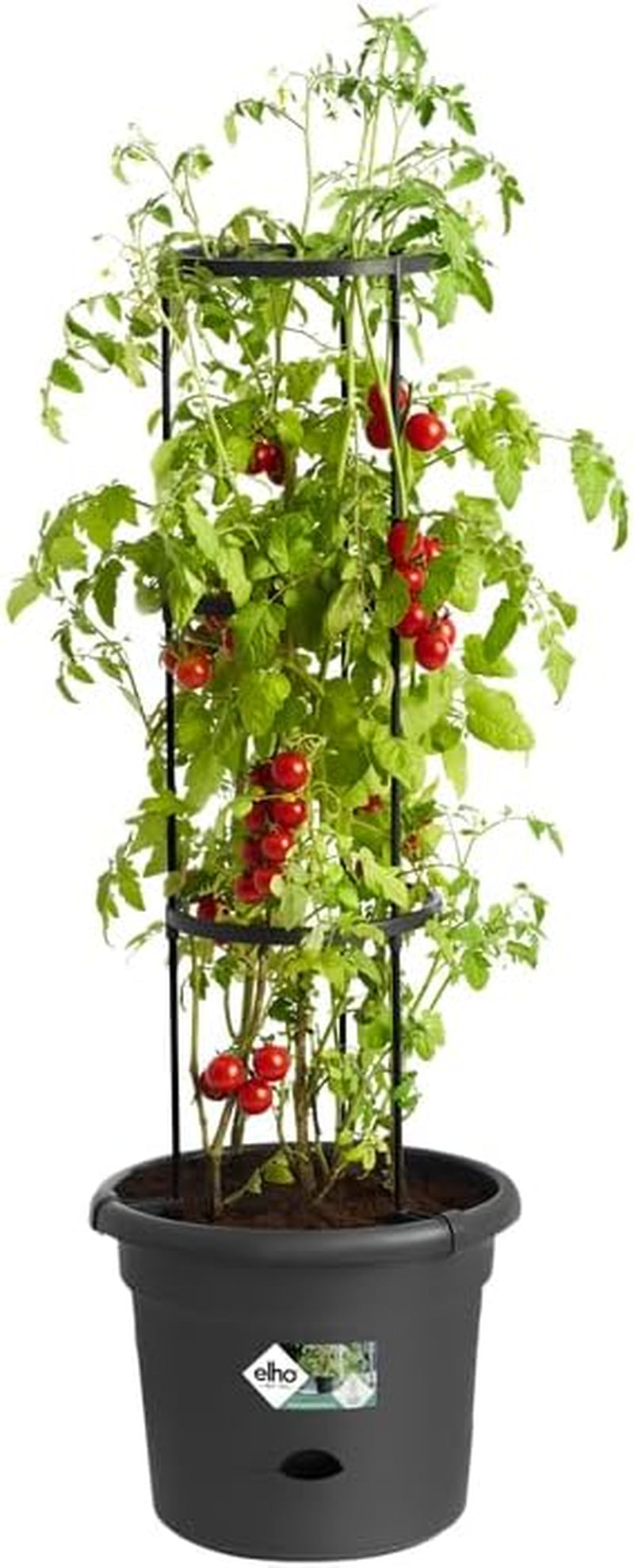 elho Green Basics Tomatkrukor 33 - Blomkrukor för utomhusodling och skörd - Ø 33,5 x H 26,0 cm - Svart/Vivid svart