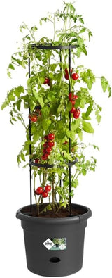 elho Green Basics Tomatkrukor 33 - Blomkrukor för utomhusodling och skörd - Ø 33,5 x H 26,0 cm - Svart/Vivid svart