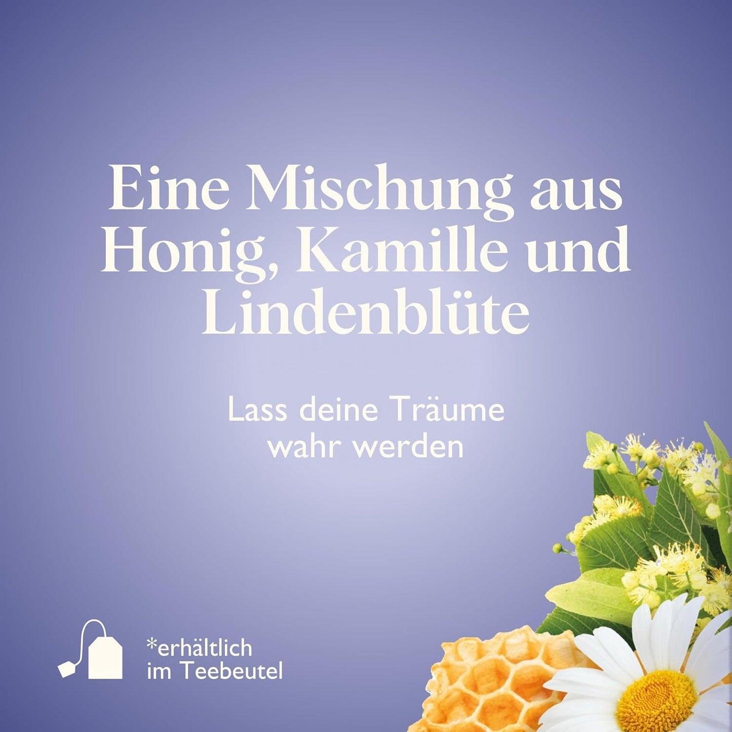 Twinings SWEET DREAMS Kamomillte med honung, apelsin och limeblom - Söt blandning av örtteer för naturlig sömnförbättring, 12-pack (10 tepåsar vardera)