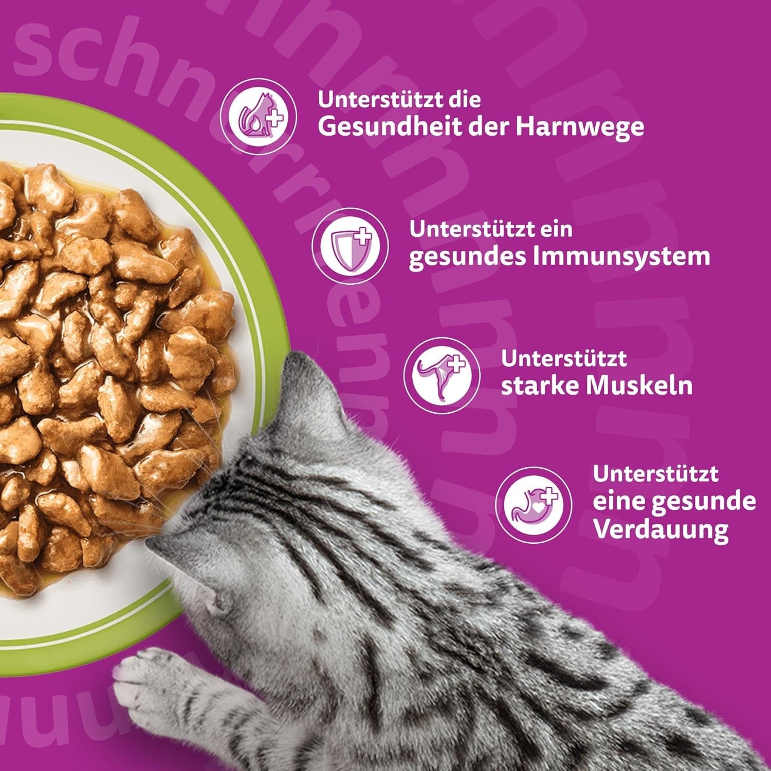 Whiskas Senior 7+ Wet Food Mixed Selection i gelé, 84 dospåsar, 84x85g (1 storpack) - Högkvalitativt våtfoder för katter från 7 år och uppåt