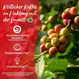Senseo Pads Guten Morgen XL, 5 x 10 Getränke, 50 Kaffeepads