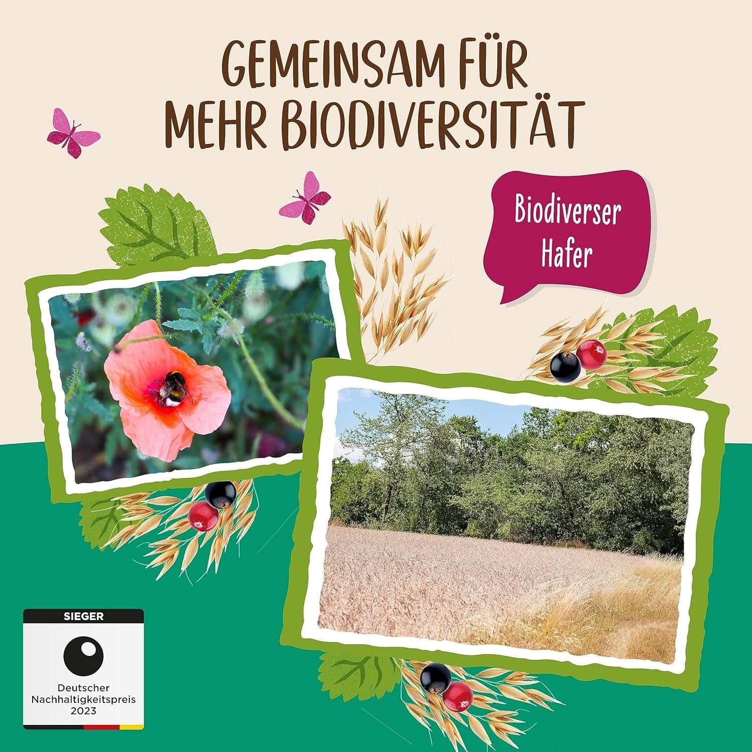 Allos, osötad bärmüsli, förpackning 5 x 500 gram Cereals Naty Shop