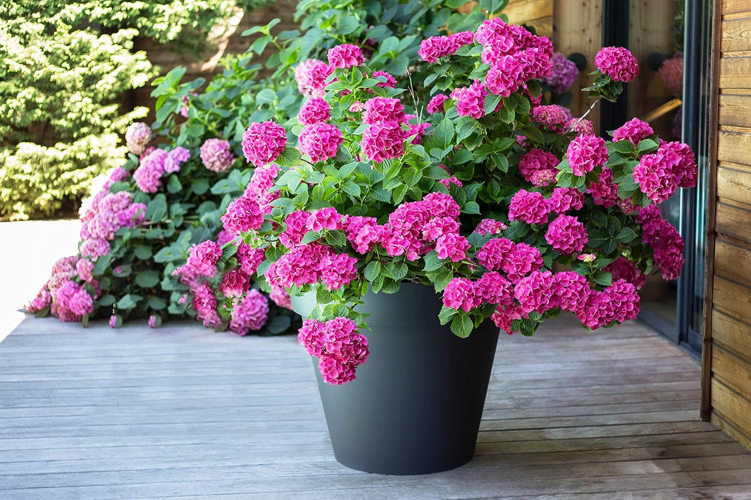 PLAST? Blomkruka i plast, 76L, levande färger, Zen, B 60 cm x H 47 cm