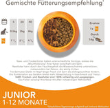 IAMS Delights Kitten Nassfutter - Multipack Katzenfutter med Hunn i sås, högkvalitativ Futter für Junior Kätzchen av 1-12 Monate, 12 x 85 g