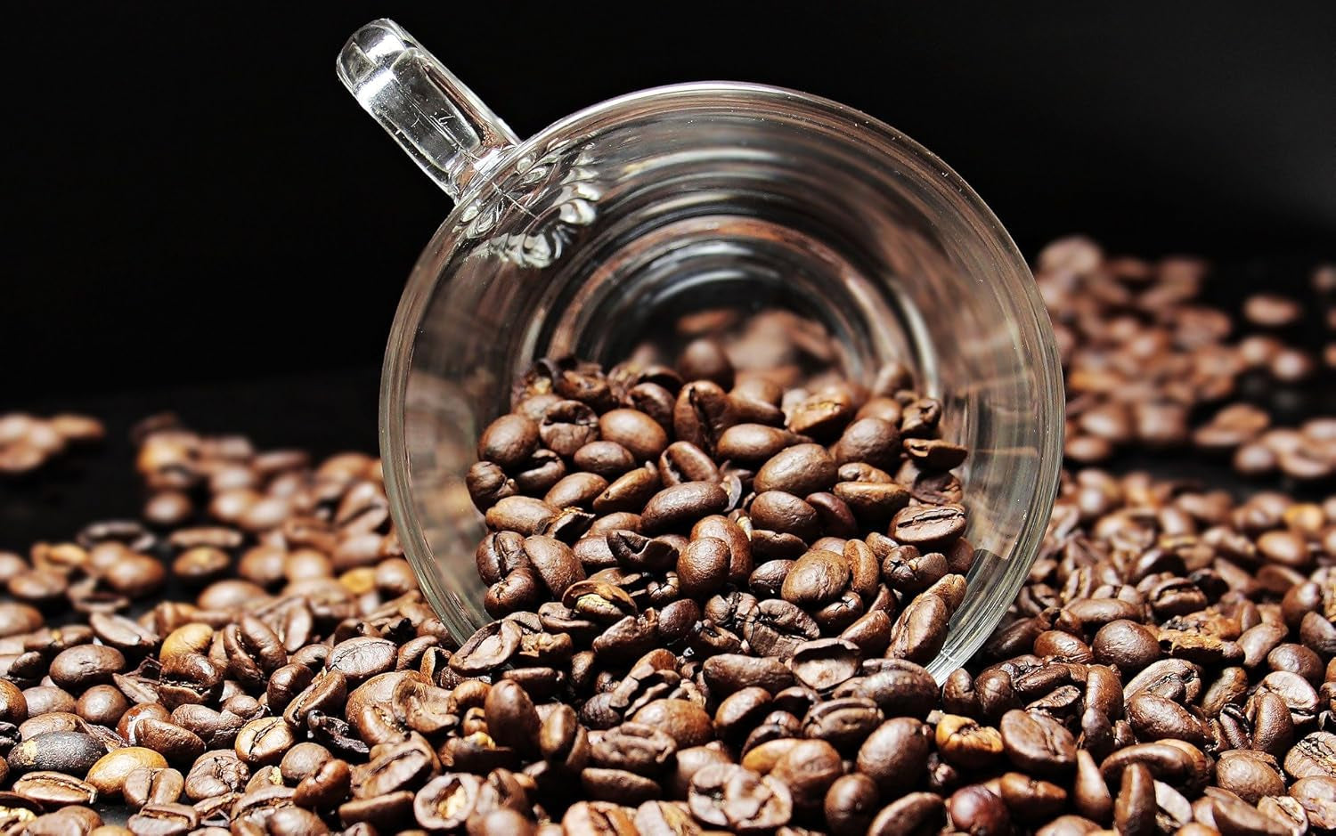 Specialkaffe från Sydamerika - Galapagos, öarnas unika ekosystem (1 000 gram, hela bönor) - kaffe med ett ursprung - premiumkaffe - låg syra - lätt rostat och färskt