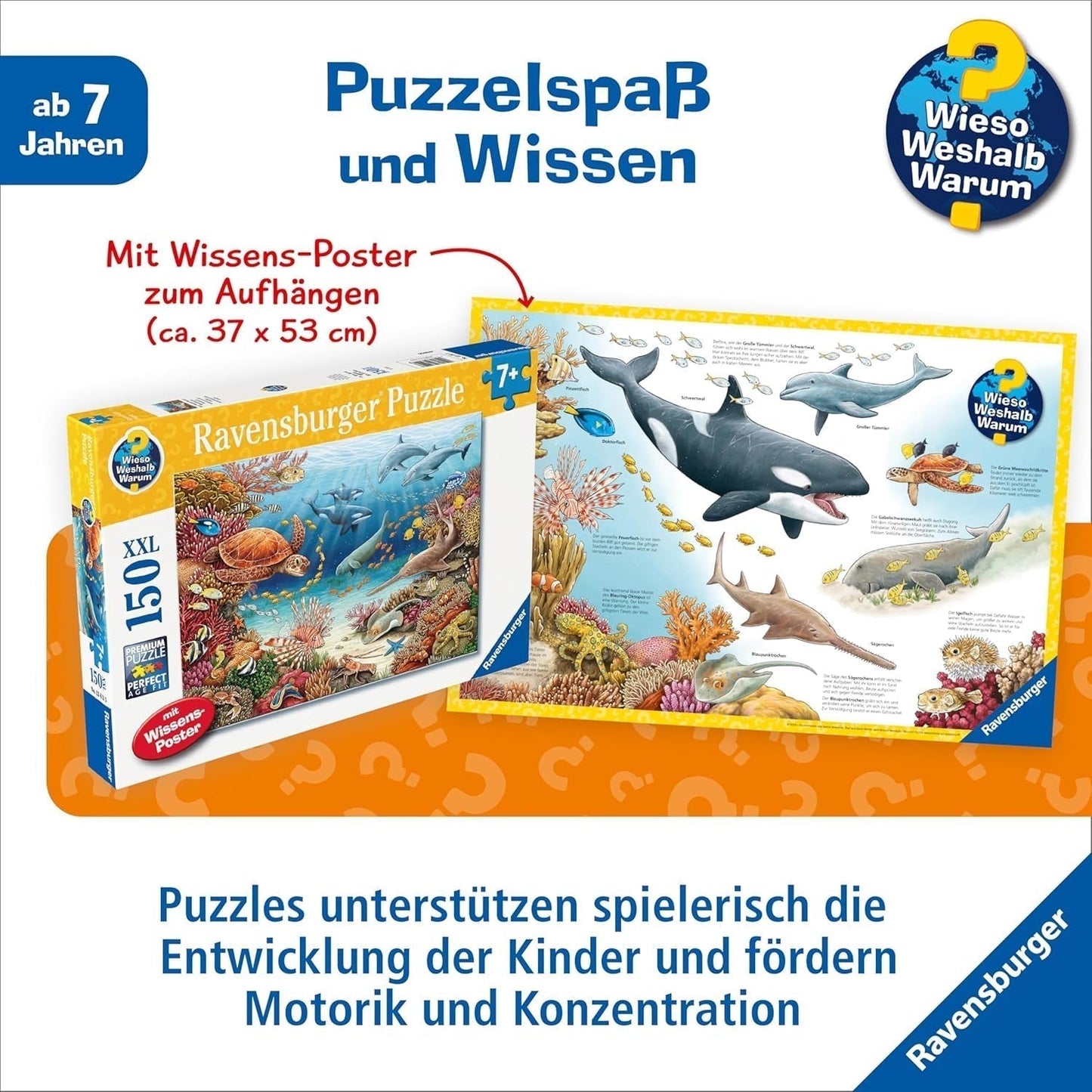 Ravensburger barnpussel 13411 - Havsdjur på korallrevet - Varför? Varför? Varför? Pussel 150 bitar XXL + kunskapsaffisch, för barn från 7 år Puzzle Naty Shop