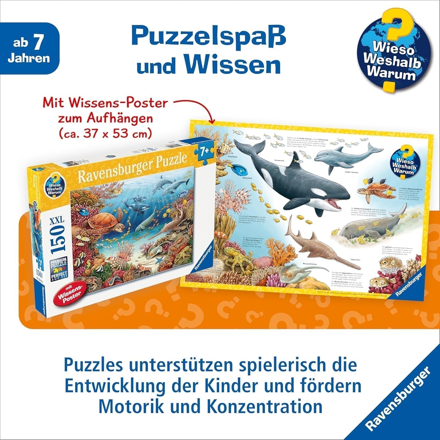 Ravensburger barnpussel 13411 - Havsdjur på korallrevet - Varför? Varför? Varför? Pussel 150 bitar XXL + kunskapsaffisch, för barn från 7 år Puzzle Naty Shop