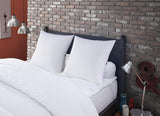 Anti-sängkvalster och vägglöss kudde 60 X 60 cm Medium Comfort Multi Protect kudde Mjuk och skyddande maskintvättbar i 40°C Naty Shop Standardkuddar Standardtitel