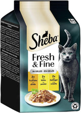 Sheba portionspåsar våtmat för katter, färsk & fin kalkon- och kycklinggelé Multipack, 6x6x50 g - högkvalitativ kalkon- och kycklinggelékattmat