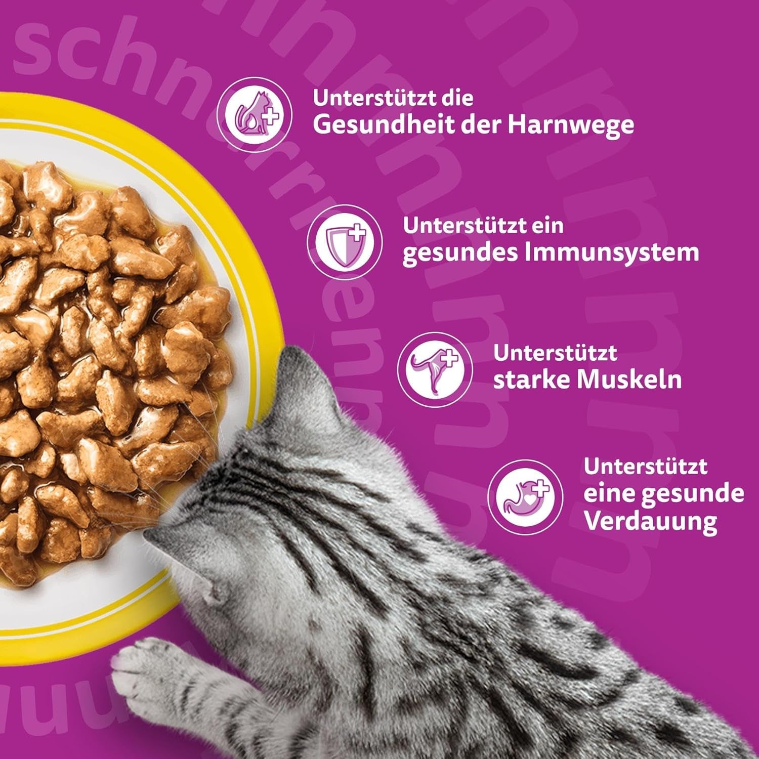 Whiskas 7+ våtfoder för katter Urval av fjäderfä i sås 24 x 85 g (2 förpackningar) - Högkvalitativt våtfoder från 7 år i 48 portionspåsar