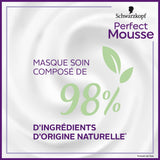 Perfect Mousse Permanent Coloring Mousse, 668 Hasellnuss Hair Dye Naty Shop