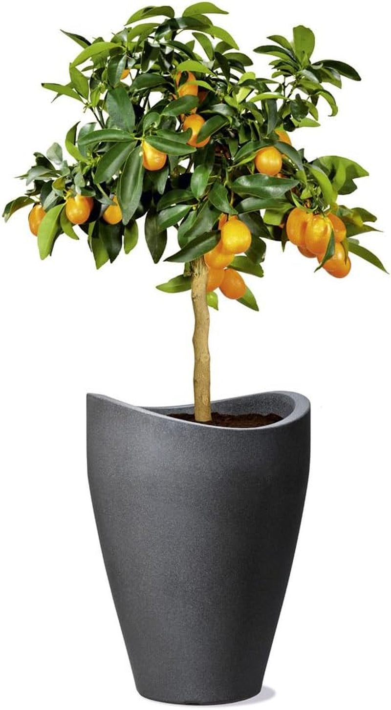 Scheurich Wave Globe High, hög plastbehållare, svart granit, diameter 29,8 cm, höjd 40 cm, volym 6 l.