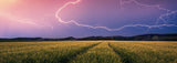 Ravensburger Nature Edition 17491 Summer Storm - 500-bitars pussel för vuxna och barn i åldern 12+ Puzzle Naty Shop Collage