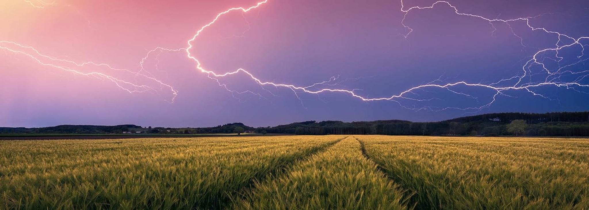 Ravensburger Nature Edition 17491 Summer Storm - 500-bitars pussel för vuxna och barn i åldern 12+ Puzzle Naty Shop Collage