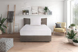 Traumnacht comfort dunkudde med högkvalitativ dunfyllning och luddbeständigt överdrag av 100% bomull, Oeko-Tex certifierad, 80 X 80 cm, tillverkad enligt den tyska kvalitetsstandarden Naty Shop standardkuddar