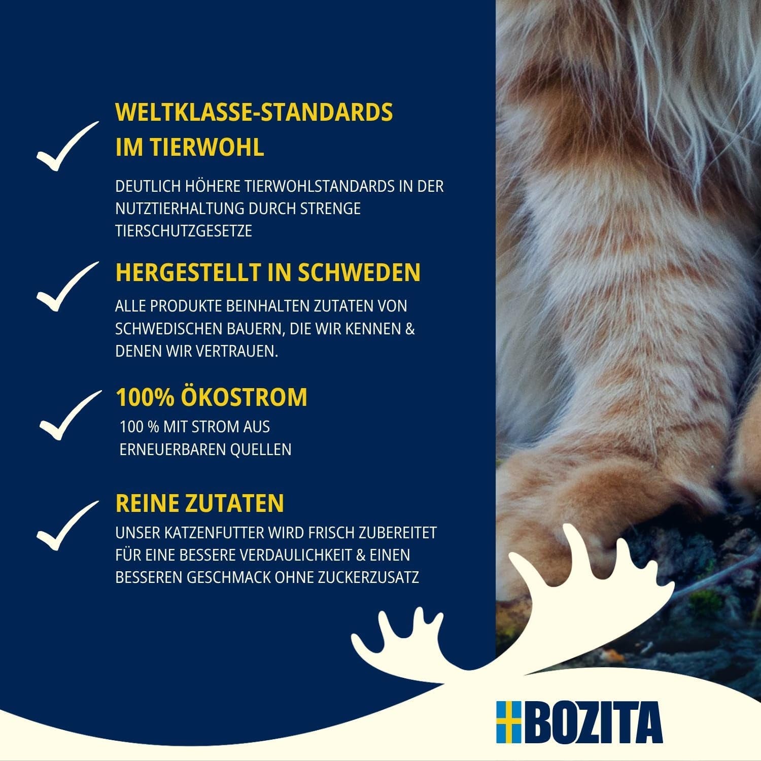 Bozita Mousse MSC Lax - 12 x 85 g våt kattmat med fin konsistens av mousse och lax - spannmålsfritt recept, inget tillsatt socker eller färgämnen - med postbiotika för att stödja tarmfloran
