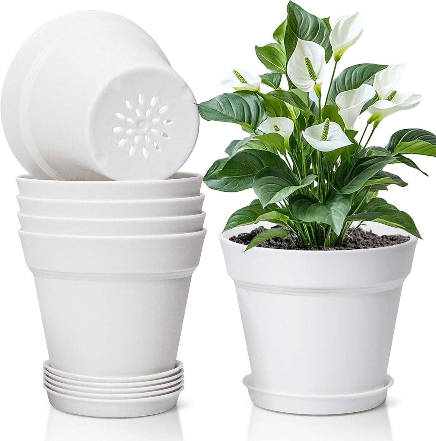 T4U 16 cm blomkruka i plast med fat, set med 6 örtkrukor i plast med flera dräneringshål, rund kruka för inomhus- och balkongsuckulentväxter, kaktusar, vit