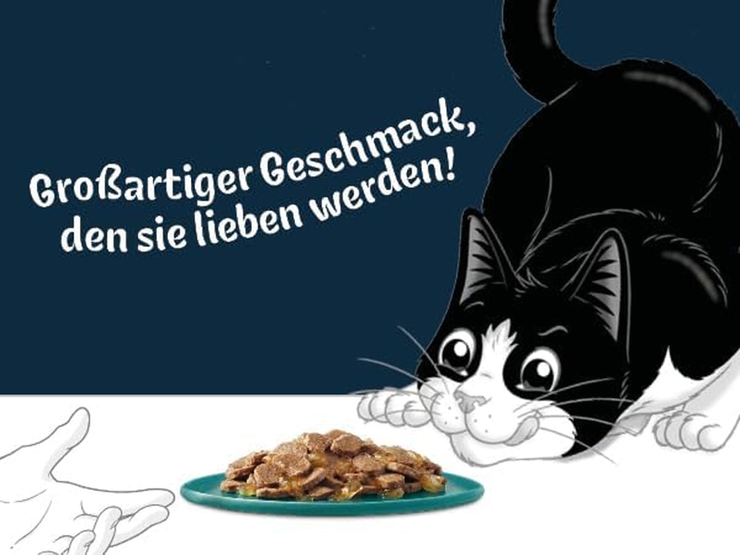 Felix Delicious våtskivad kattmat i gelé, olika smaker från vatten, förpackning om 6 (6 x 10 påsar à 80g vardera)