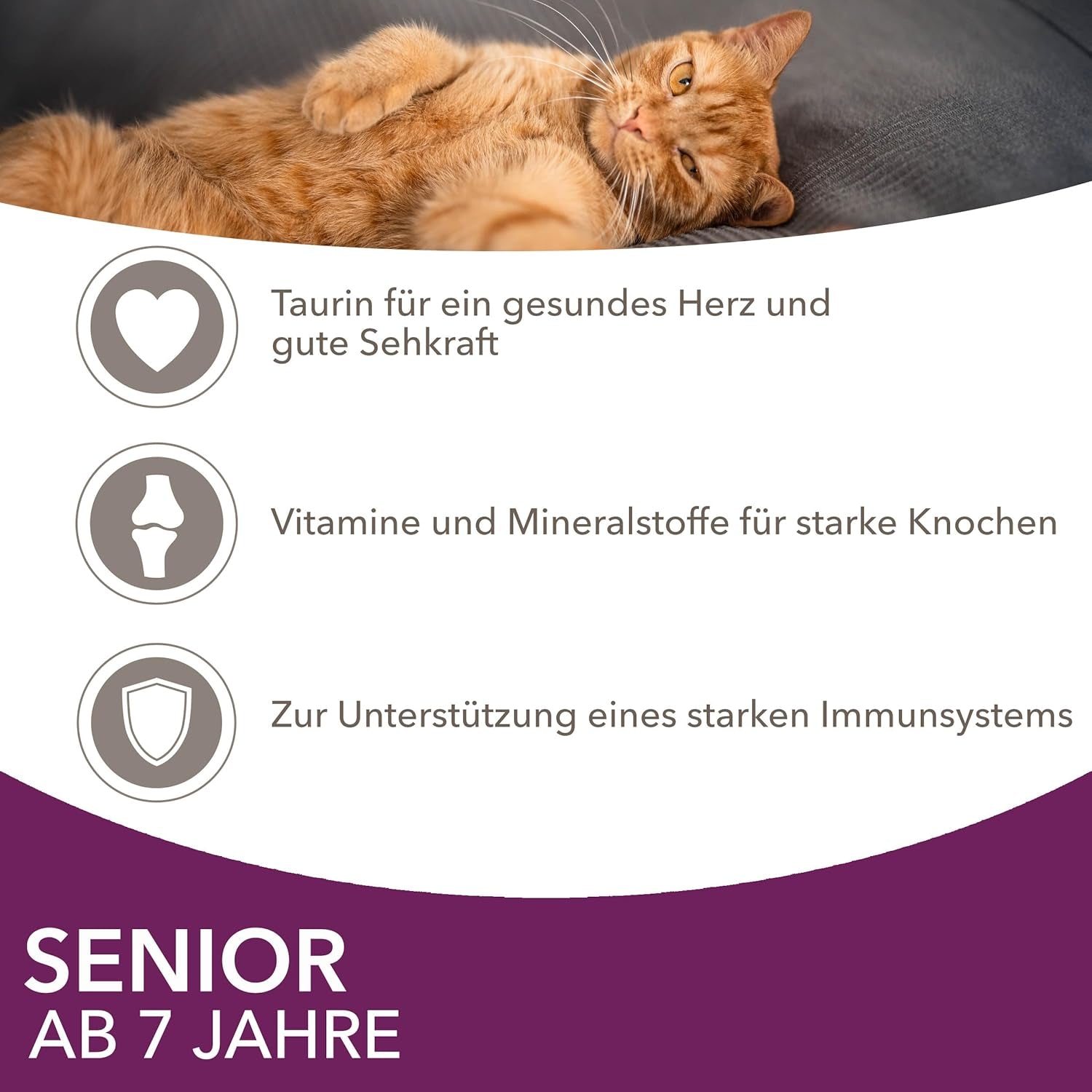 IAMS Delights Våtfoder för seniorkatter - Multipack med kyckling och fisk i sås, högkvalitativt våtfoder för katter äldre än 7 år, 12 x 85g