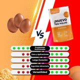 Eipulver aus Freilandeiern (1kg) | Pasteurisiertes Vollei Pulver | Ohne Zusatztoffe | Glutenfri & laktosfri | Vakuumverpackung i Zip-Beutel