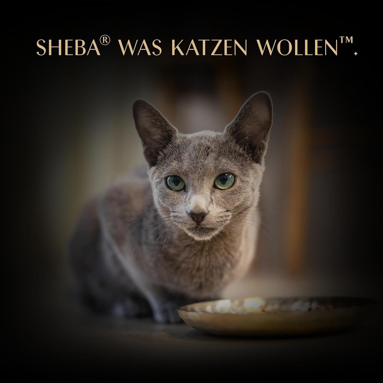 SHEBA filéer vuxen Katzenfutter i sås med kyckling, Hochseefisch och Garnelen 16 x 60 g skal