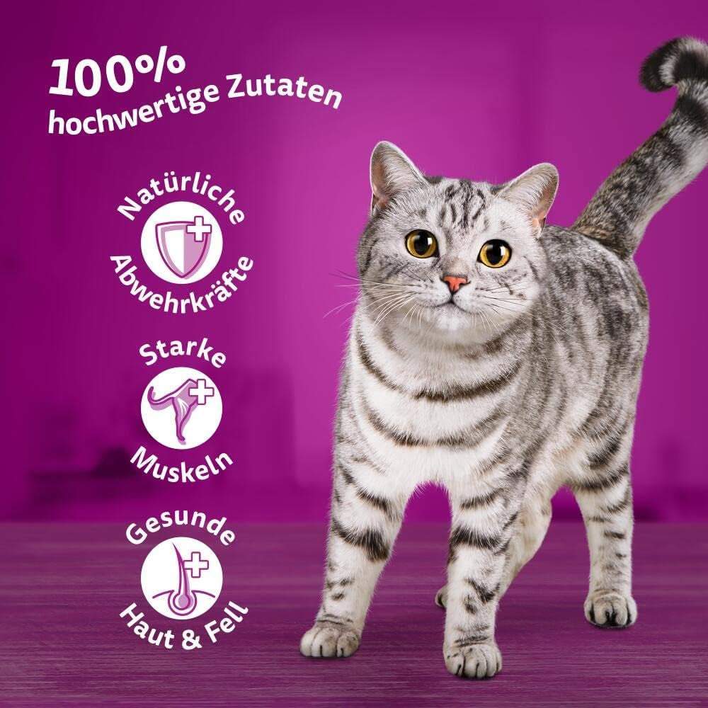 Whiskas 1+ våtfoder för katter med kyckling i gelé, 28x85g (1 förpackning) - Högkvalitativt våtfoder för vuxna katter i 28 portionspåsar
