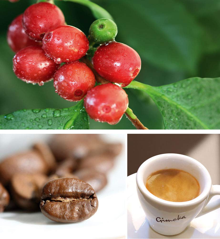 Gimoka - Kompatibel för Nescafè - Dolce Gusto - 64 Kapsel - Krämig smak - Intensität 10 - Made In Italy - 4 Packungen Zu 16 Kapseln