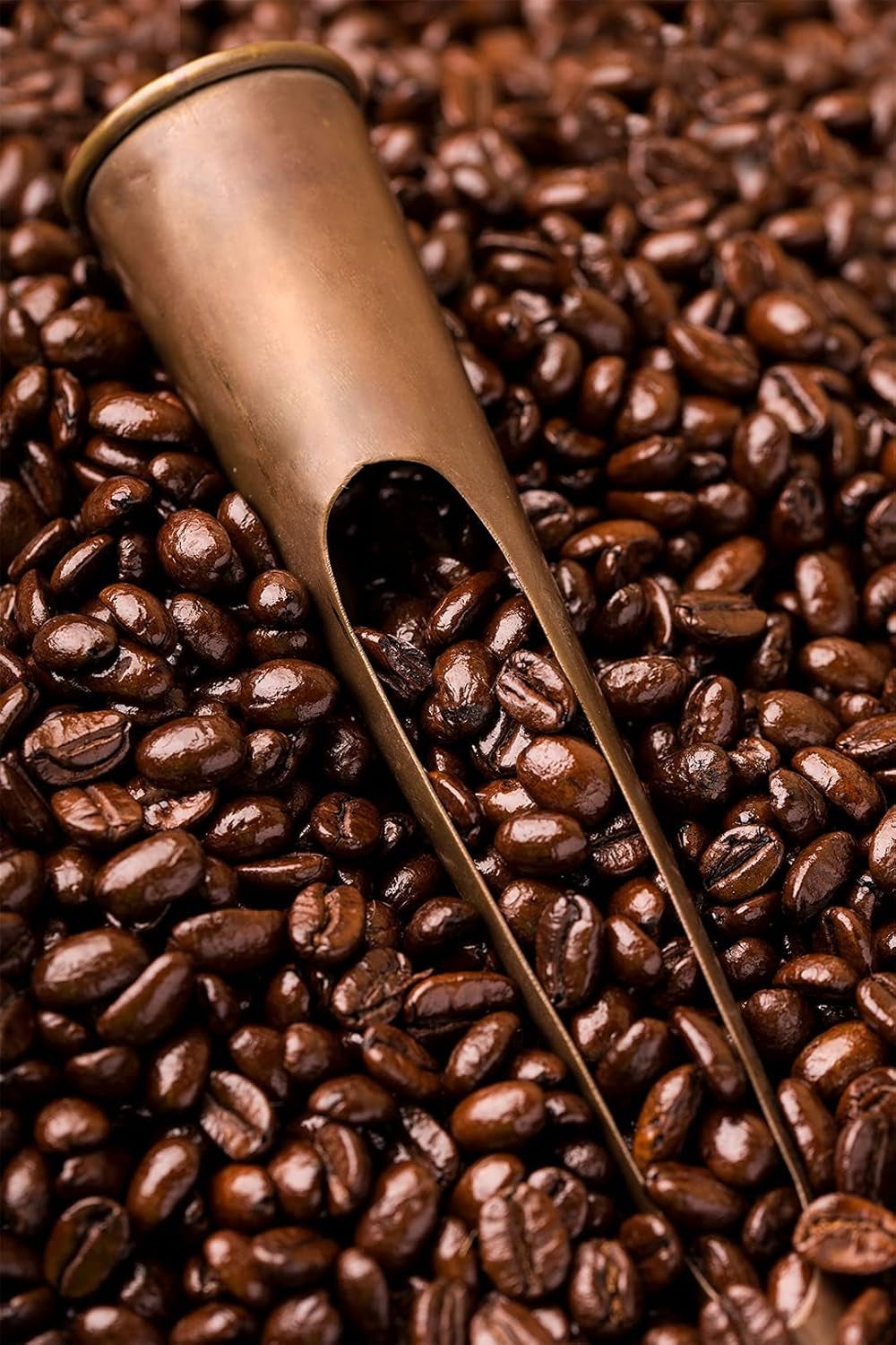 Caffè Barbera - Kaffekit med 3 blandningar - 1870