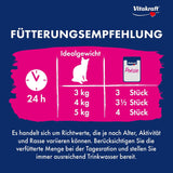 Vitakraft Poésie Délice, Junior, Våtfoder för katter, Våtfoder i sås, med kalkon, Multipack, för unga katter, Inget tillsatt socker eller spannmål (23 x 85g)
