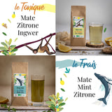 ORIGEENS BIO MATE TE-presentset X4 I Yerba Mate Bio 4X80G I Yerba Mate te-set, presentidé