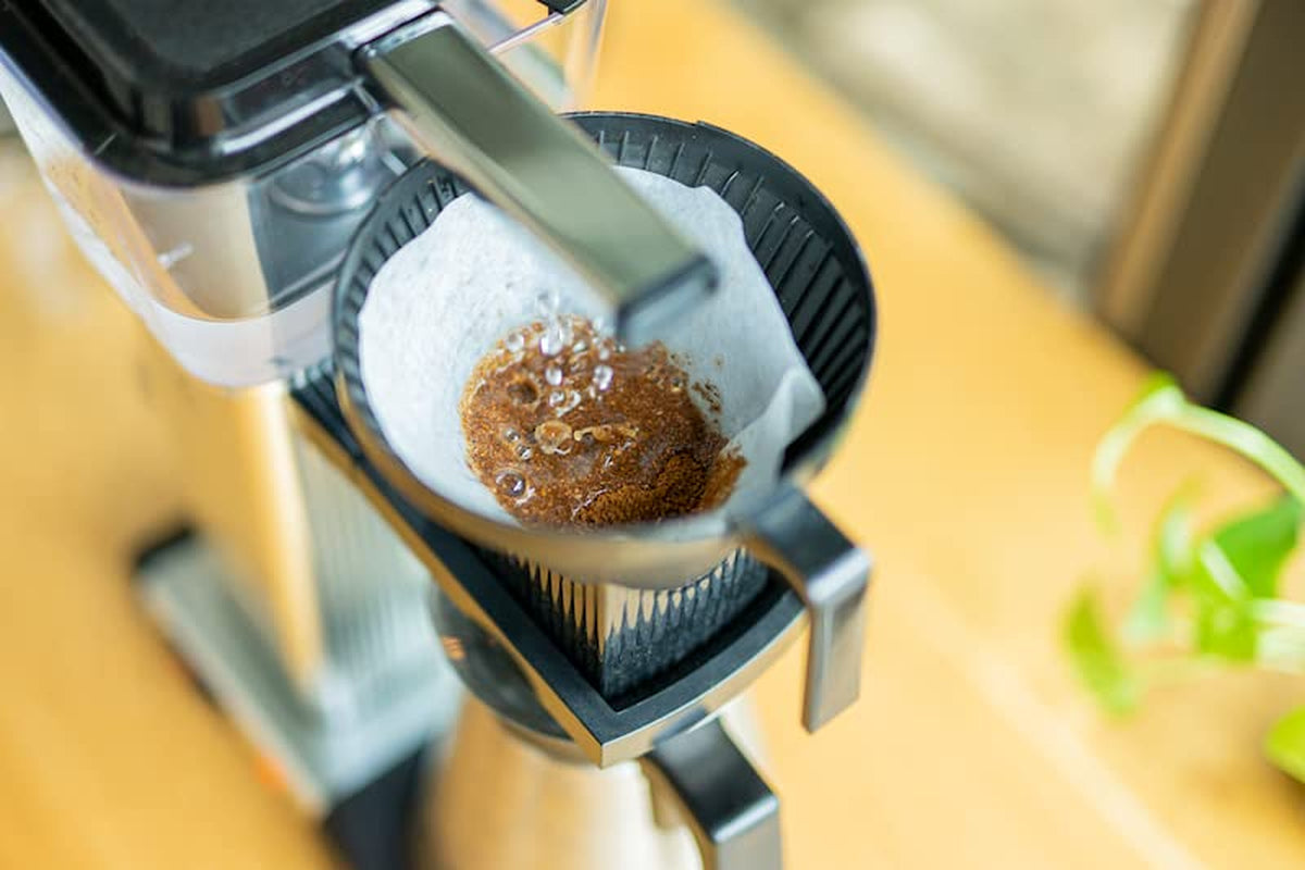 Vårblomningsfilter | 250 g fullkorn | rättvist och hållbart | nystekt | kaffebönor 100% Arabica | specialkaffe | 19 gram Cafe Roastery...