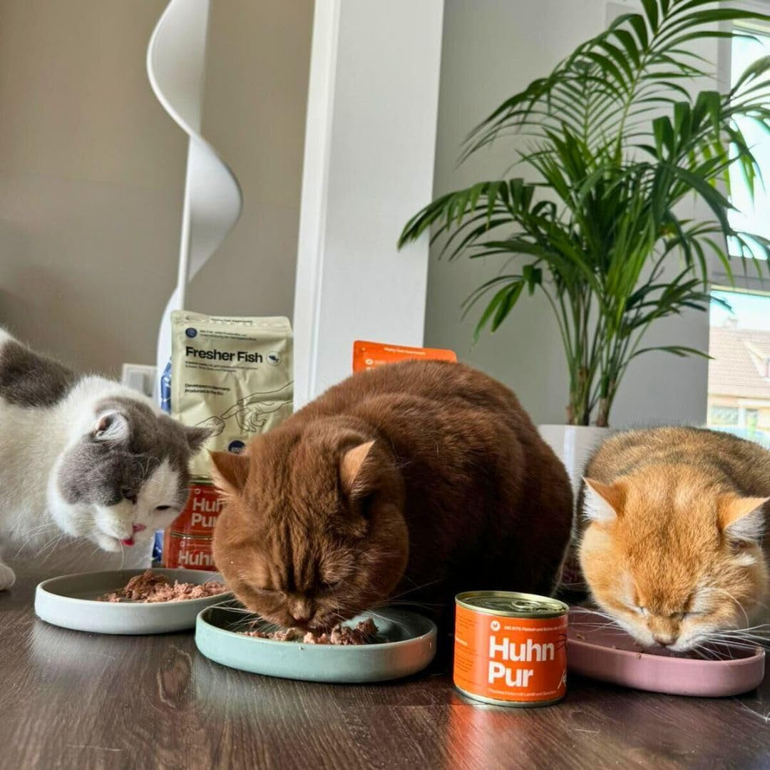 The Better Cat - Spannmålsfri våtfoder med extra hög kötthalt - Premium spannmålsfri och sockerfri kattmat (200g, kyckling)