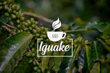 Iguaque kaffe 1000gr | Premium Kaffee ganze Bohnen 100% Arabica från Colombia | Familienbetrieb - Single Origin Kaffeebohnen - Nachhaltige eigene Plantage im Hochland - Kräftiges Aroma
