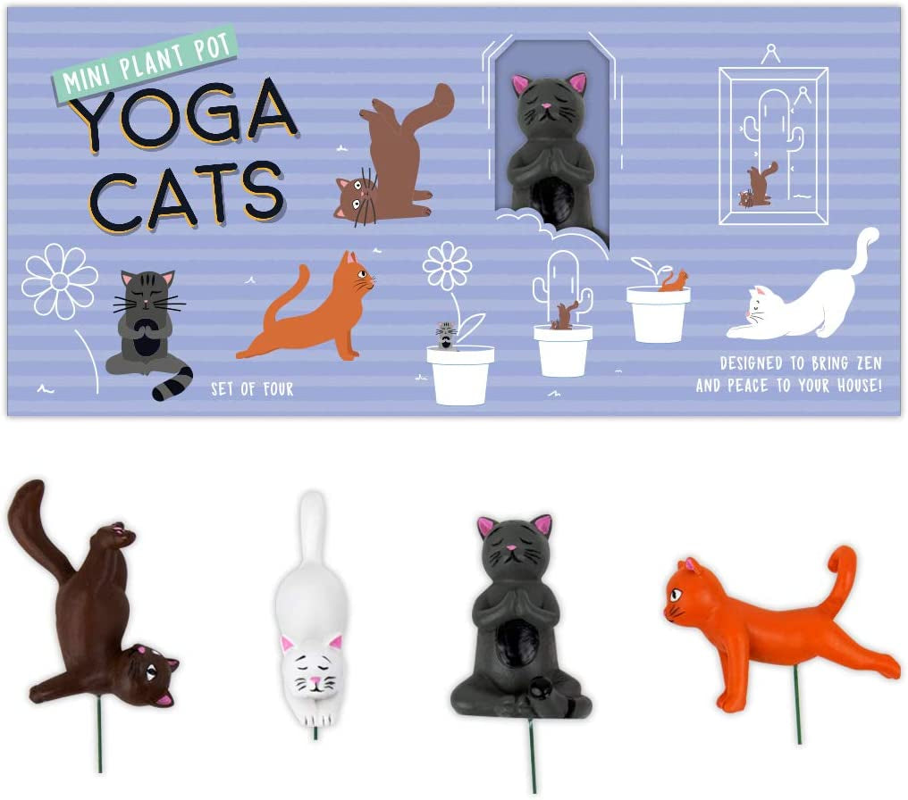 Gift Republic Mini Flower Pot Yoga Cats, Multicolor, 1
